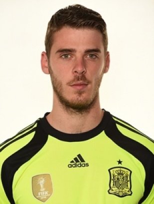 Foto principal de D. De Gea | España