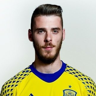 Foto principal de D. De Gea | España