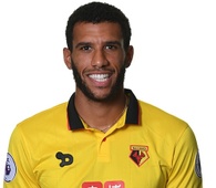 Foto principal de E. Capoue | Watford