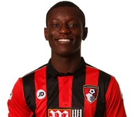 Foto principal de M. Gradel | AFC Bournemouth