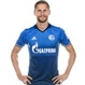 Foto principal de B. Höwedes | Schalke 04