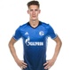 Foto principal de P. Neumann | Schalke 04