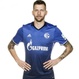 Foto principal de G. Burgstaller | Schalke 04