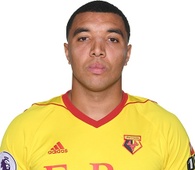 Foto principal de T. Deeney | Watford