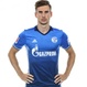 Foto principal de L. Goretzka | Schalke 04