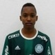 Foto principal de Fernando | Palmeiras