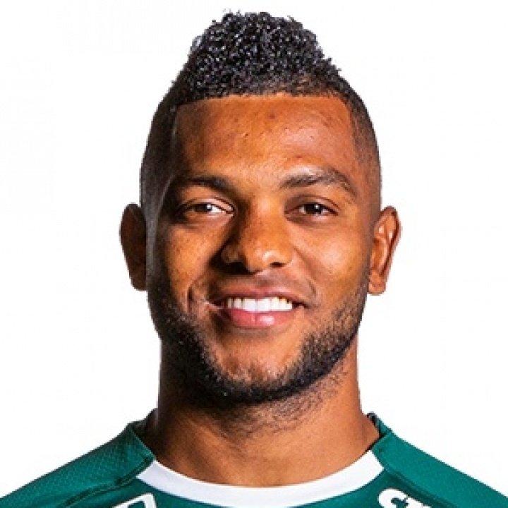 Foto principal de M. Borja | Palmeiras