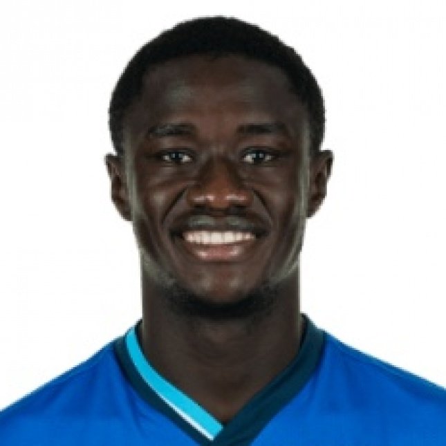 Foto principal de D. Samassekou | Hoffenheim