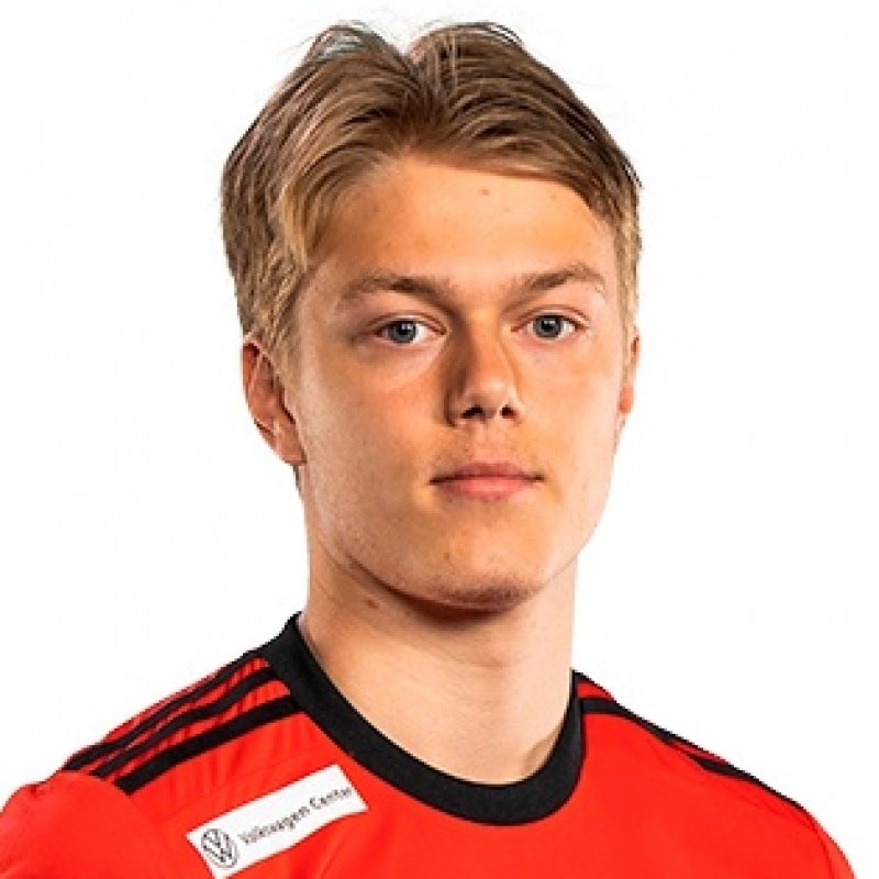 Foto principal de M. Riikonen | Ilves