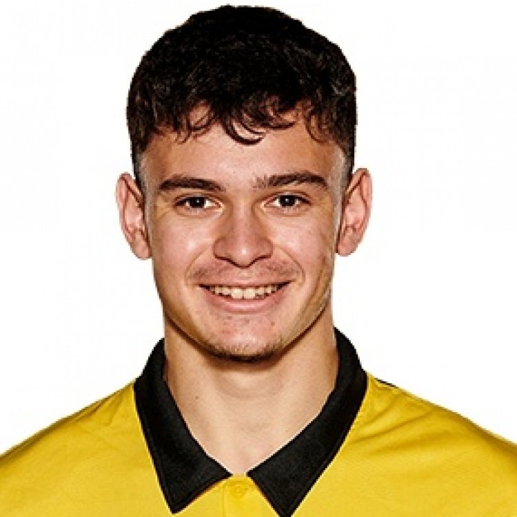 Foto principal de F. Rieder | Young Boys