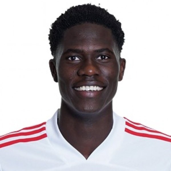 Foto principal de A. Onana | Hamburger SV