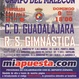 Cartel del Gimnastica - Guadalajara