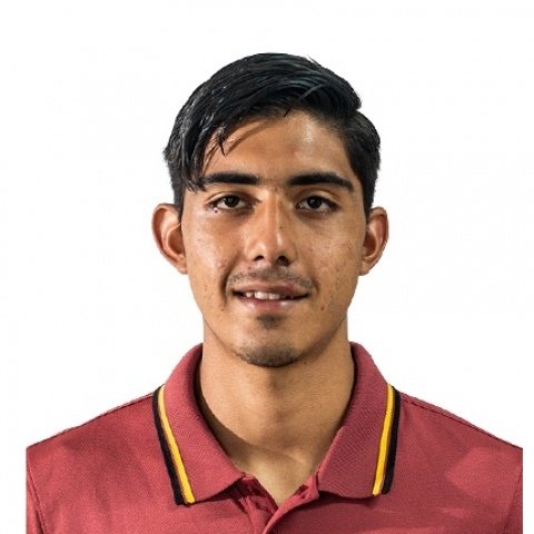 Foto principal de L. Reyes | Leones Negros