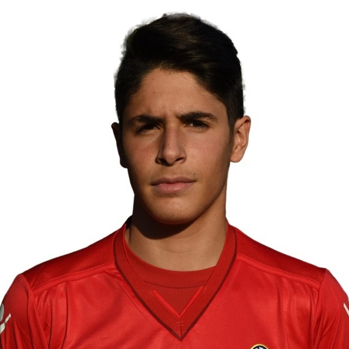 Foto principal de F. Ravaglia | Bologna