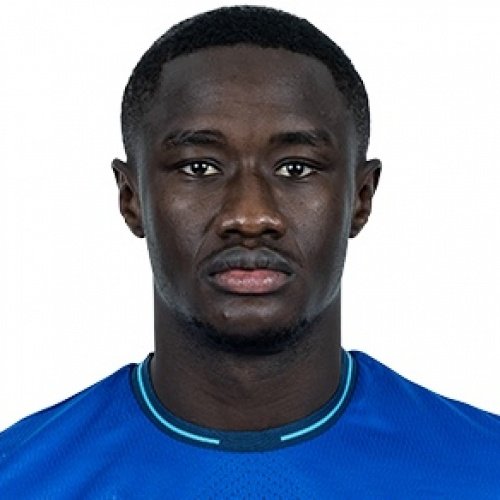 Foto principal de D. Samassekou | Hoffenheim