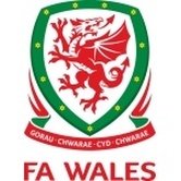 Escudo del Gales Sub 17 Fem. | Europeo Sub 17 Femenino