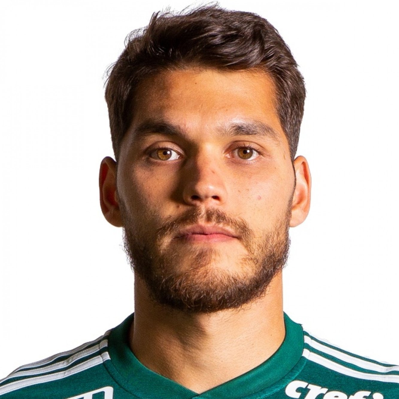 Foto principal de N. Freire | Palmeiras