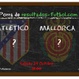 Atletico - Mallorca