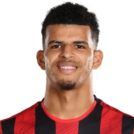 Foto principal de D. Solanke | AFC Bournemouth