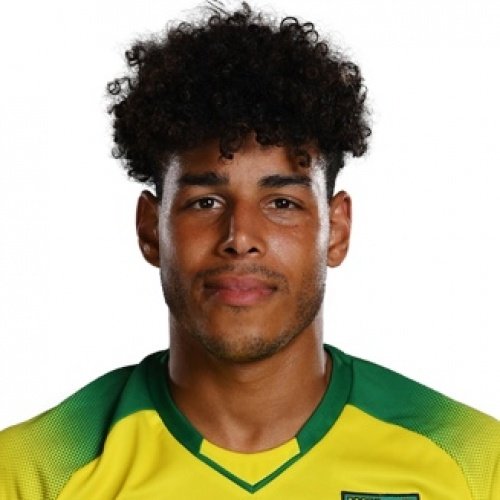 Foto principal de O. Hernandez | Norwich City