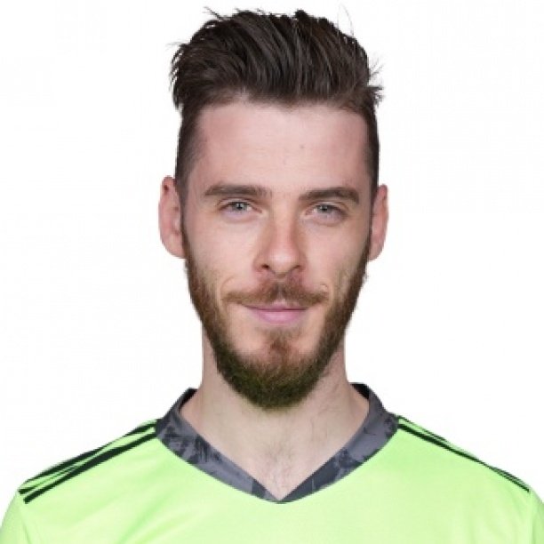 Foto principal de D. De Gea | España