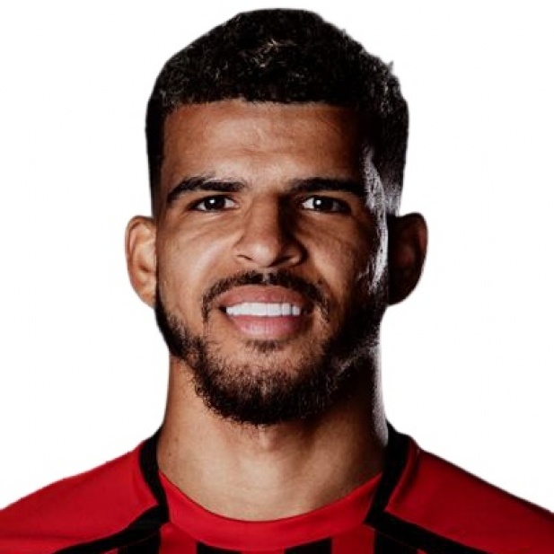 Foto principal de D. Solanke | AFC Bournemouth