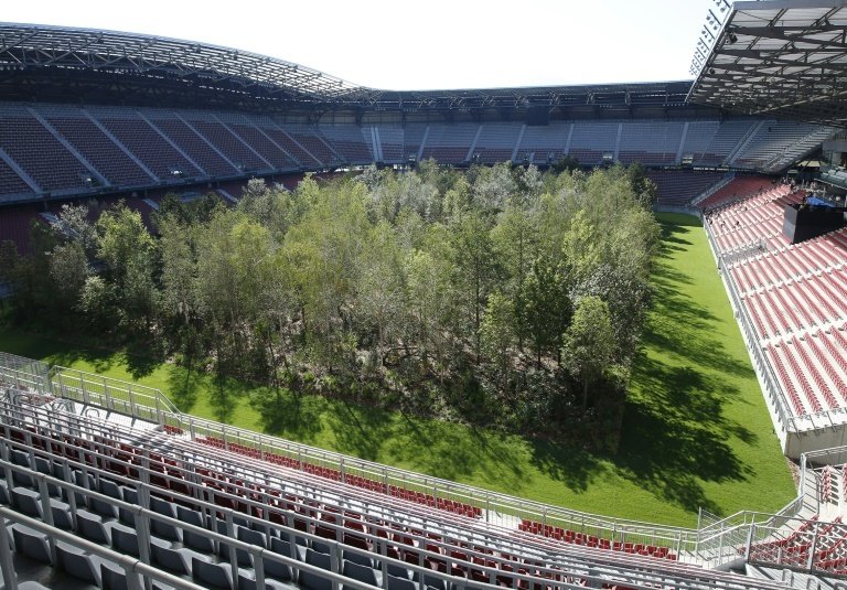 Austrian football stadium temporarily turned into a forest