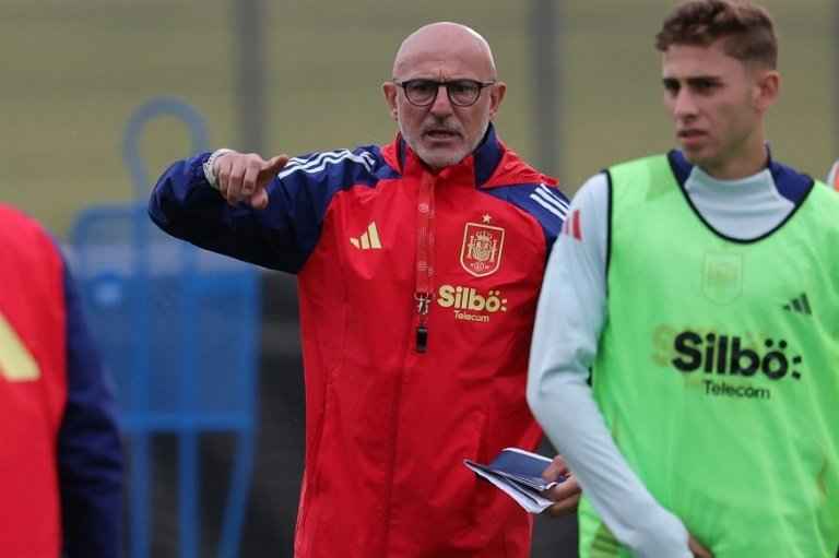 Spain still 'a long way' from matching predecessors at Euro 2024, says De la Fuente