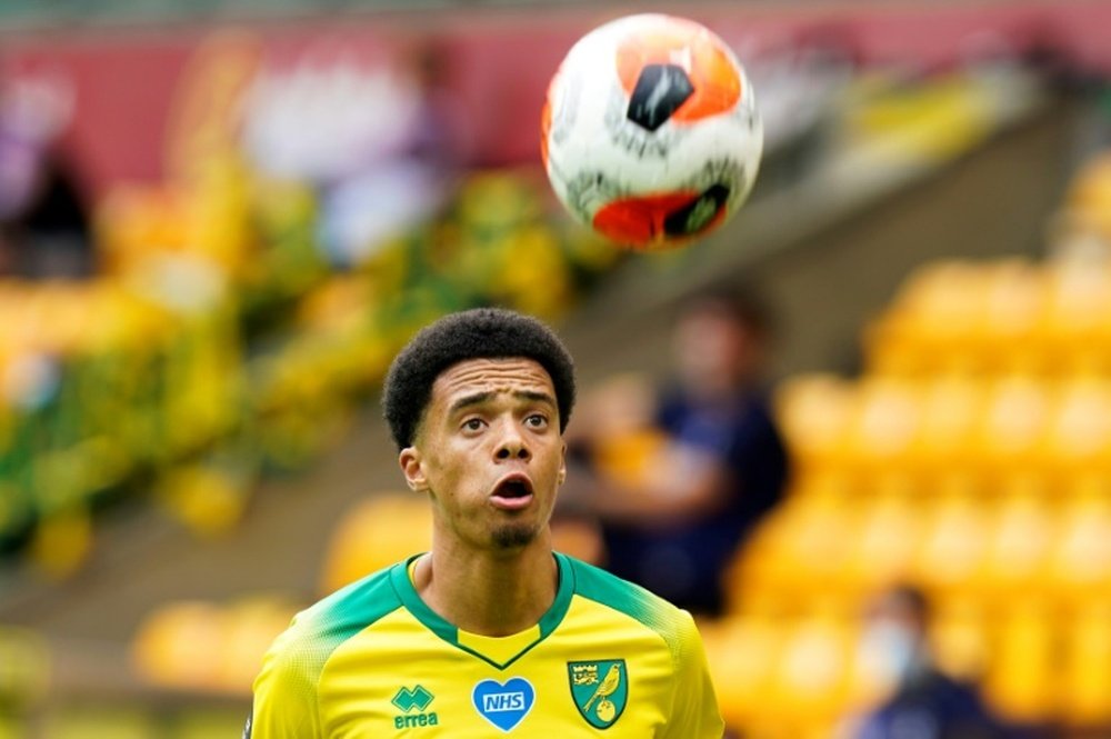 Jamal Lewis has signed for Newcastle from Norwich City. AFP