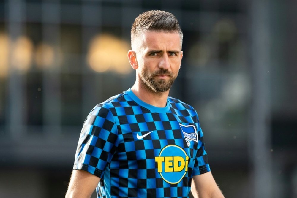 Vedad Ibisevic will give his salary to charity. AFP