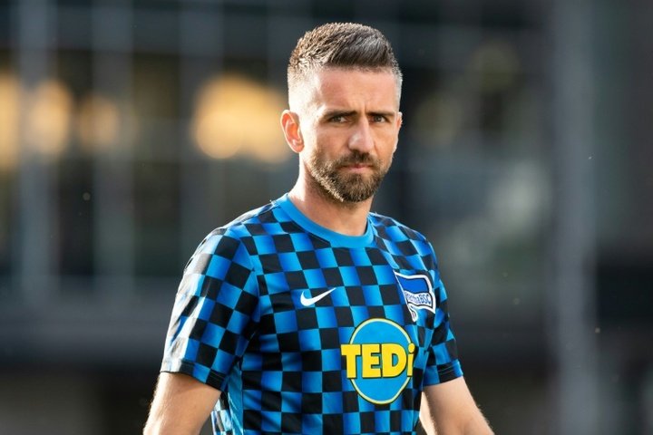 Schalke's new signing Ibisevic to donate salary to charity