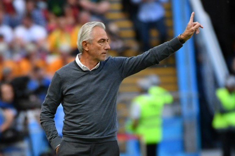 Van Marwijk unhappy with role of VAR in France defeat