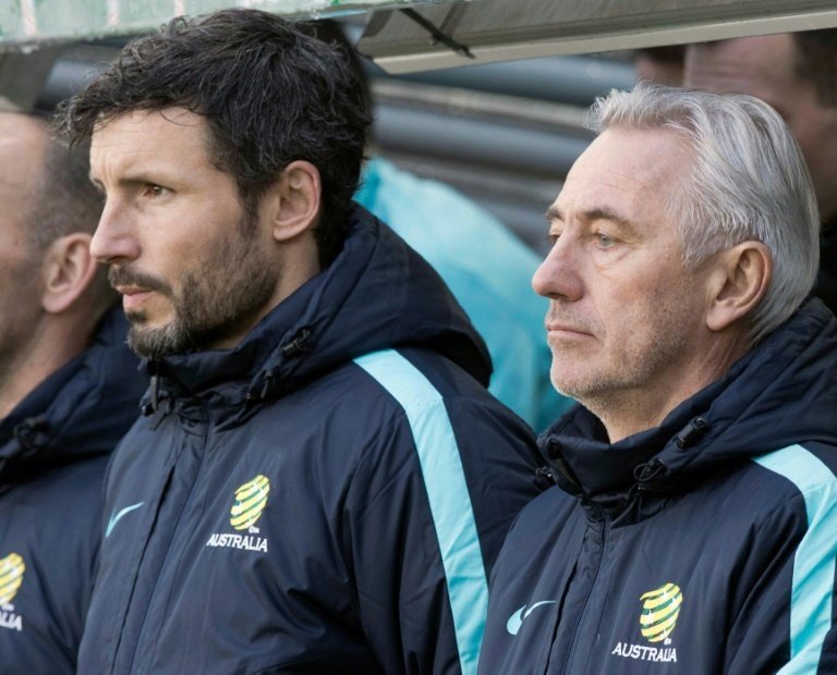 Mark van Bommel is PSV's new coach. AFP