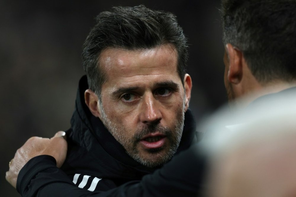 Fulham manager Silva sympathised with his Dutch counterpart. AFP