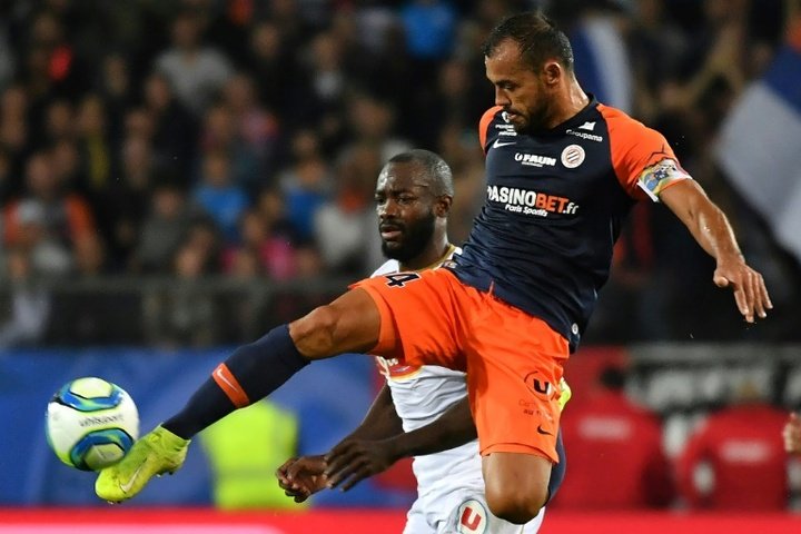 Montpellier captain Hilton signs contract extension at 42