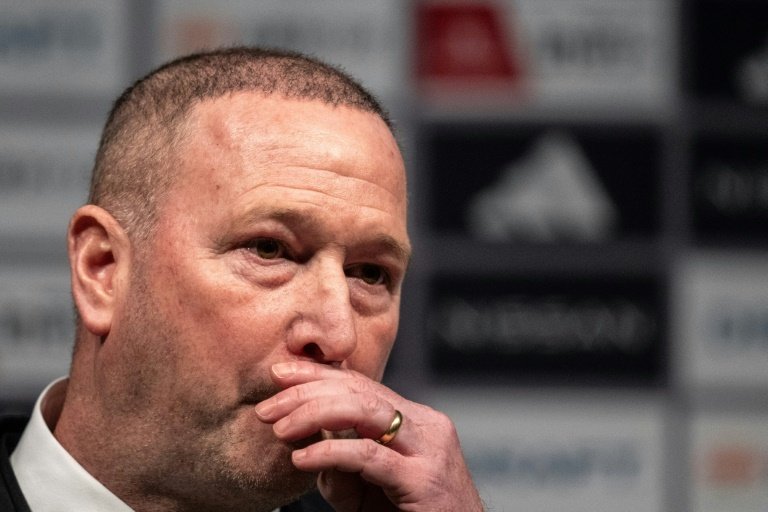 Former England assistant Steve Holland was fired by Japanese side Yokohama F-Marinos, the club said Friday, less than four months after he took over as manager.