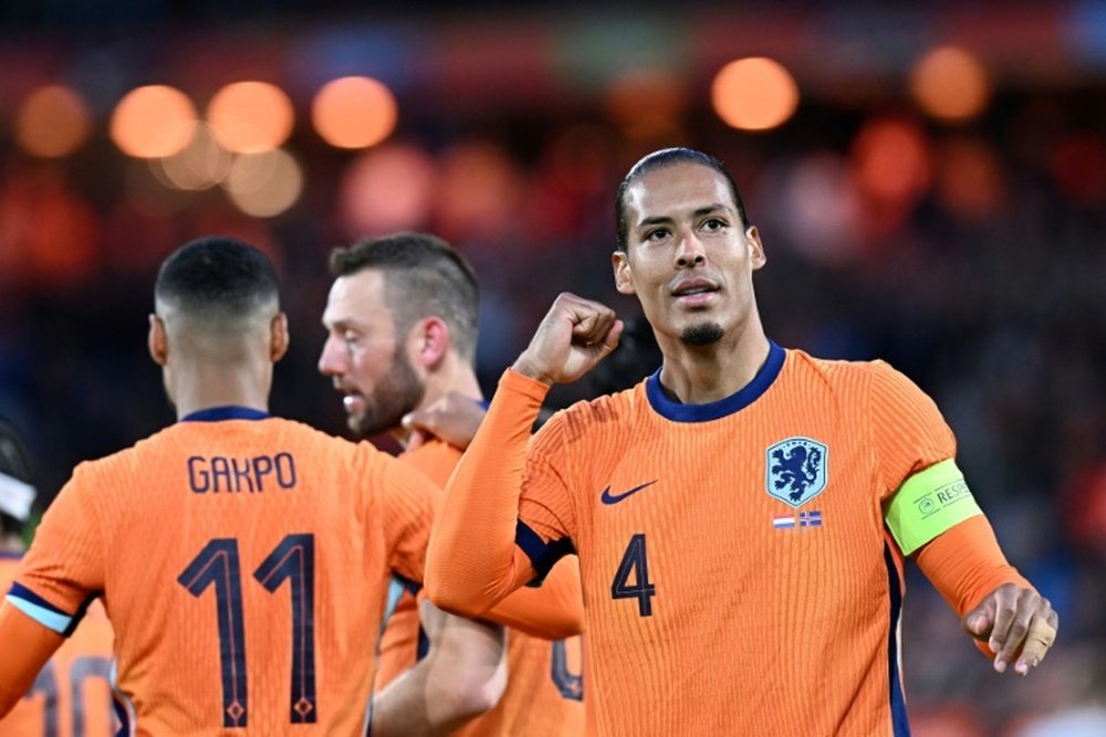 Virgil van Dijk is disappointed by the state of the Hamburg pitch. AFP