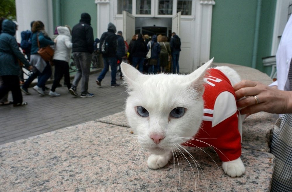The successor to Paul the Octopus. AFP