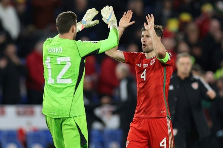 Wales 'never stopped believing' in Euro 2024 bid, says Spurs' Davies