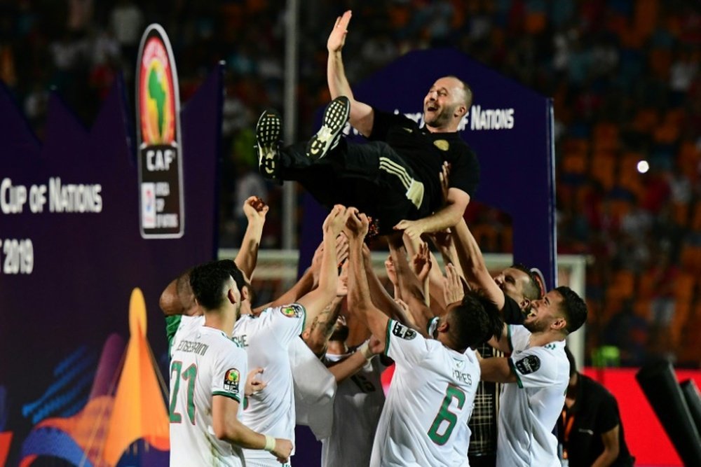 Belmadi savours 'incredible' Africa Cup of Nations triumph. AFP