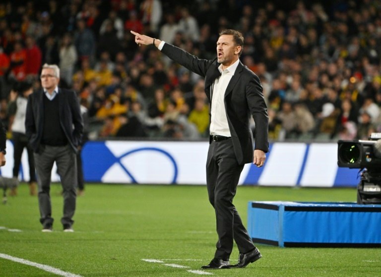 Australia coach Tony Popovic said his side have nothing to fear from Japan. AFP