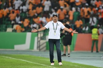 Africa Cup of Nations hosts Ivory Coast have sacked coach Jean-Louis Gasset midway through the tournament, the country's football federation (FIF) announced on Wednesday.