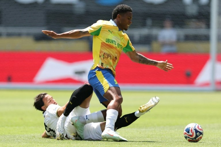 Brazilian Ribeiro wins four awards in South Africa