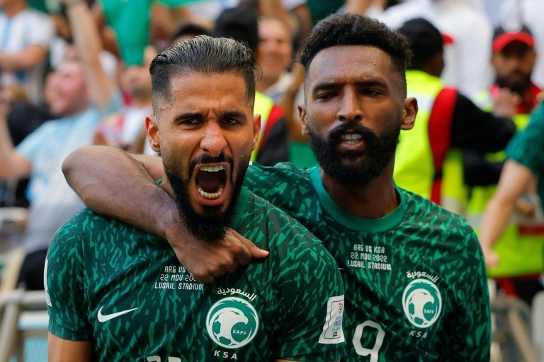 'Our joy is one': Saudi World Cup victory sparks rare Arab unity