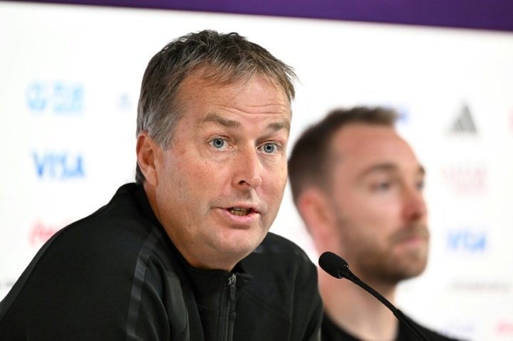 Danish coach unafraid of 'spectacular' France in Qatar