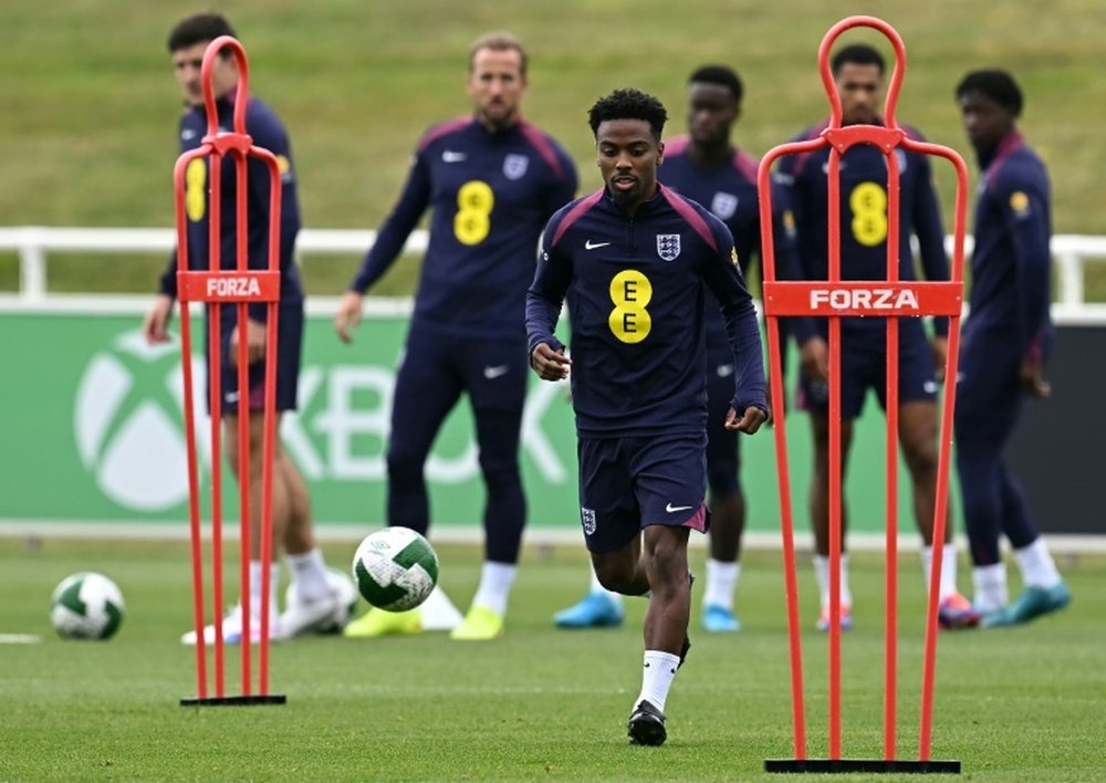 Angel Gomes helped Lille qualify for this season's Champions League. AFP
