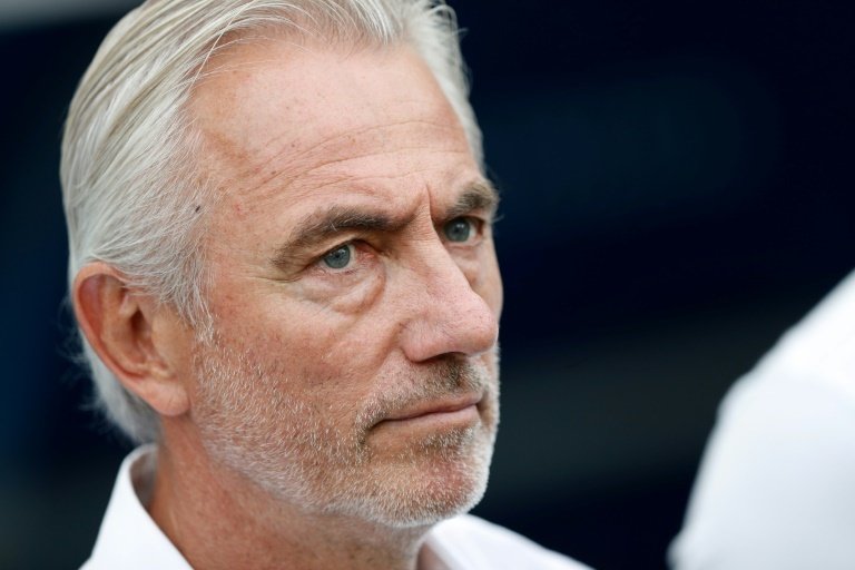 Former Netherlands boss Van Marwijk named UAE coach