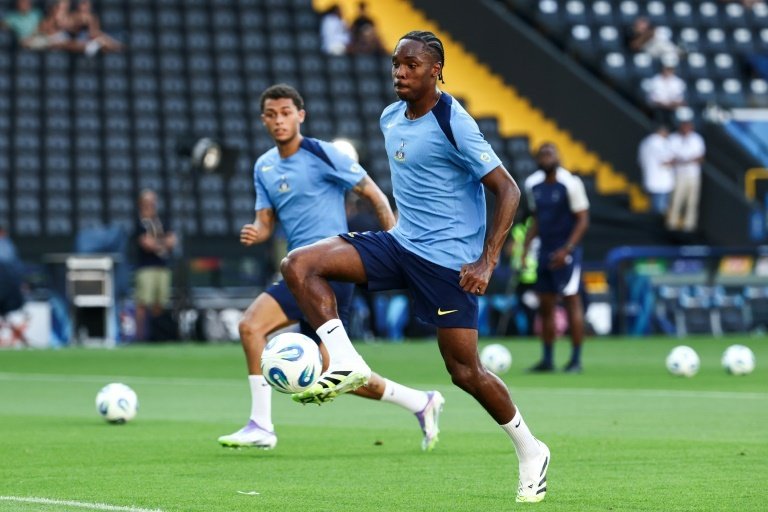 Frank urges 'real' Spurs fans to back Tel after racist abuse