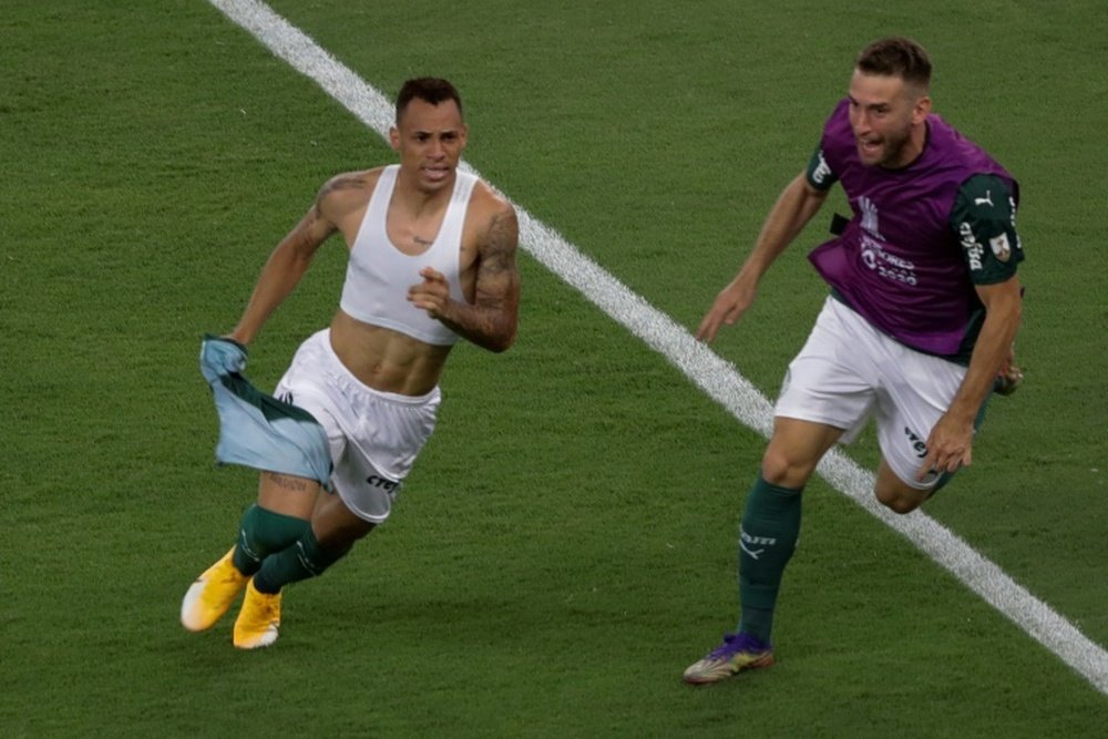 Breno Lopes (L) gave Palmeiras the Copa Libertadores at the death v Santos. AFP