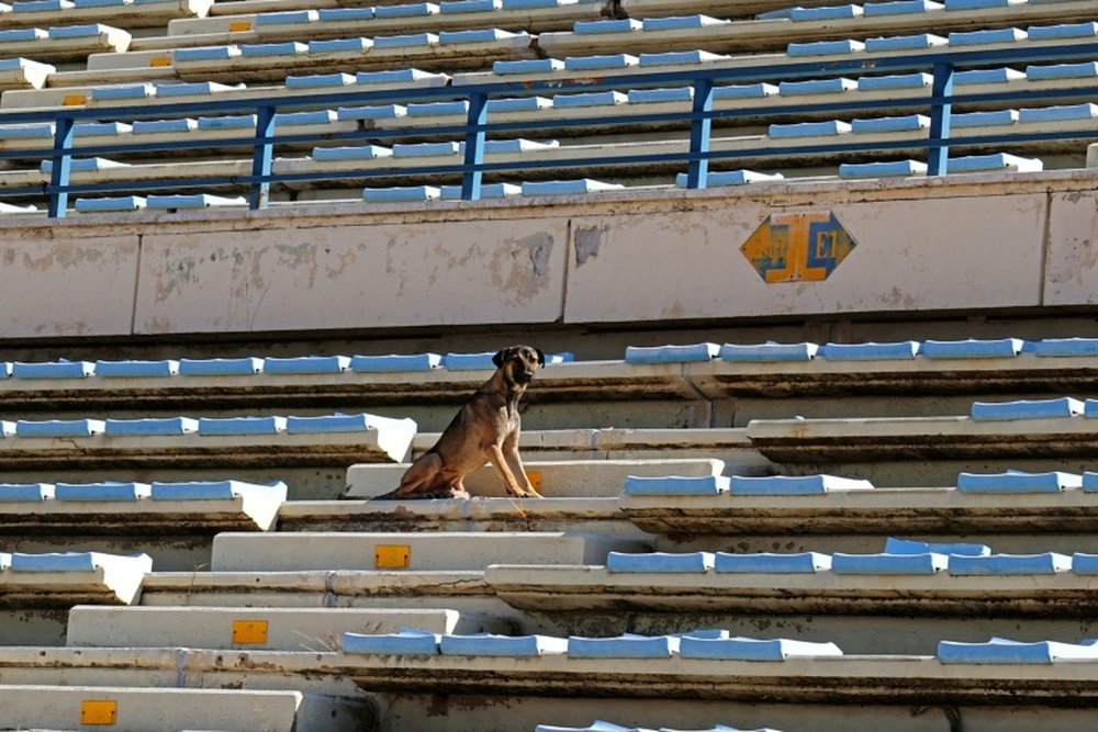 Lebanons top football stadium once hosted some of the worlds best players. AFP